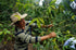 JAS Organic Peru Cochapampa Drip Bag